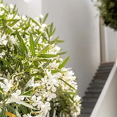 Hotel Philosophy Of Mykonos Boutique